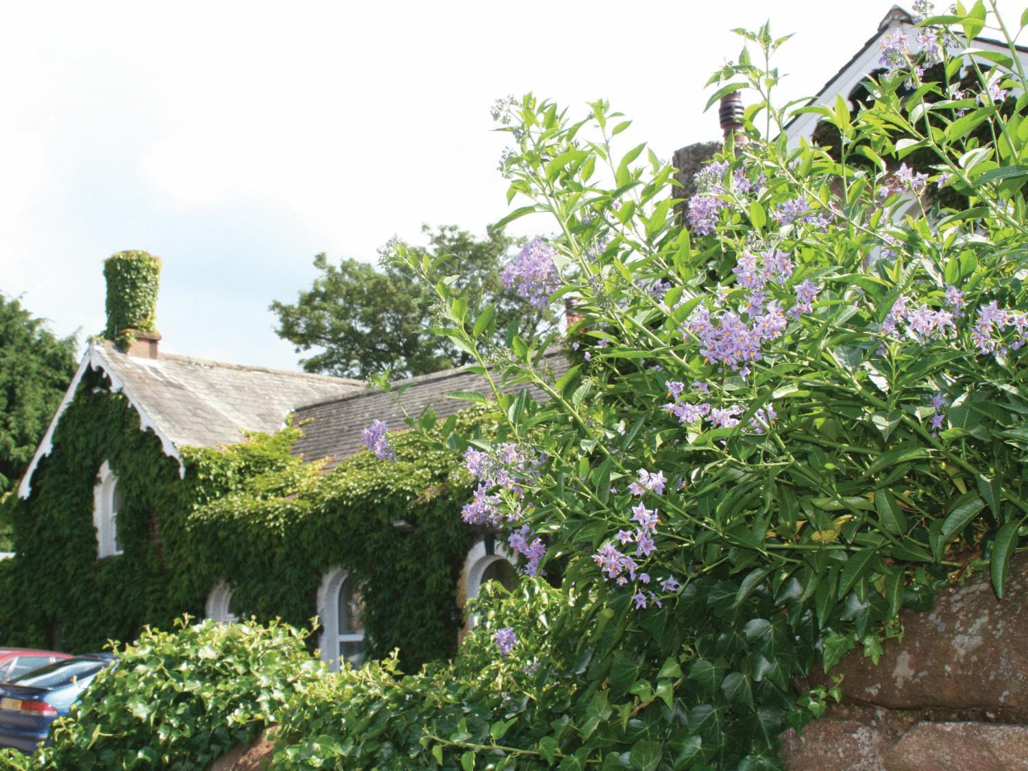 The Brantwood Hotel Penrith Dış mekan fotoğraf